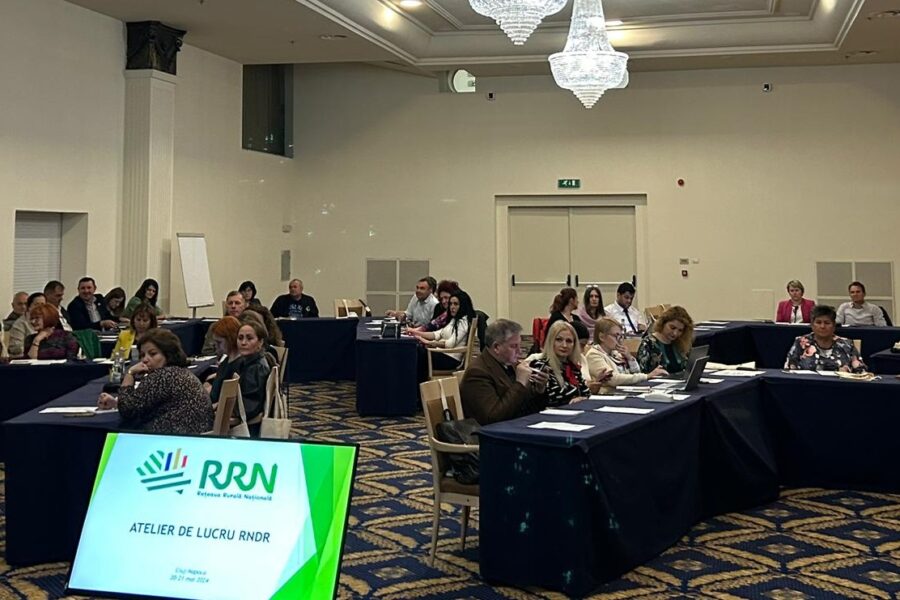 Atelier de lucru dedicat Grupurilor Operationale, 19-21 mai 2024