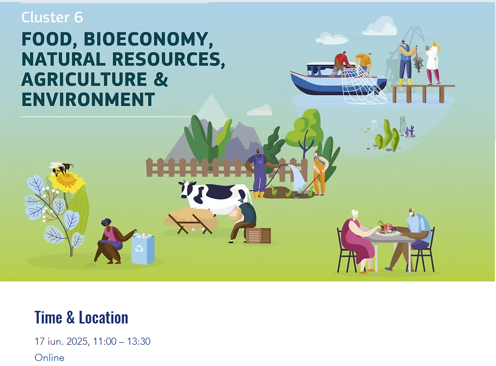 Cluster 6 Info Day in Romania - 2025
