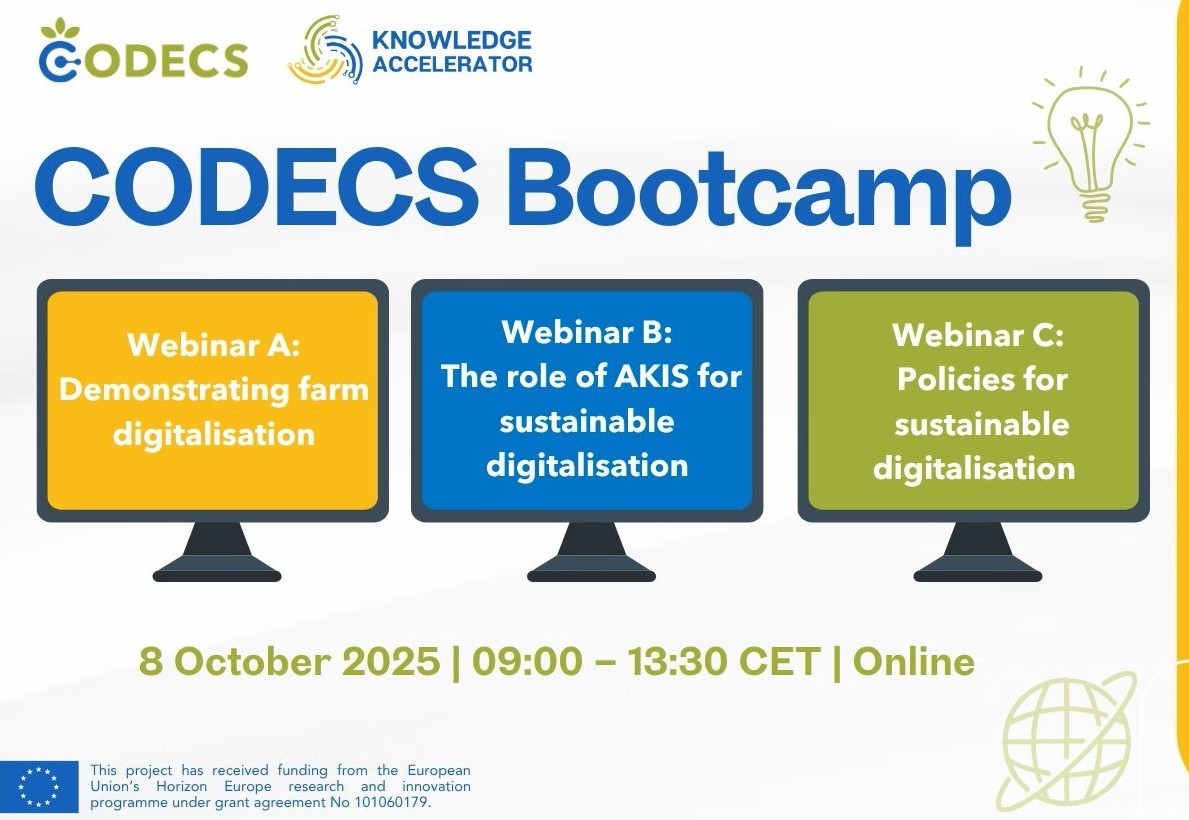 Bootcamp CODECS 2025 - 8 octombrie 2025