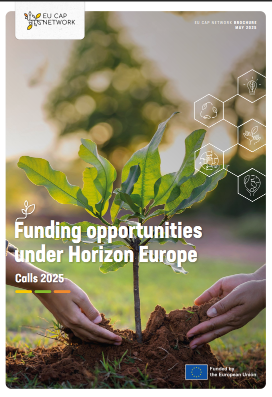 Sesiunile Horizon Europe pentru 2025