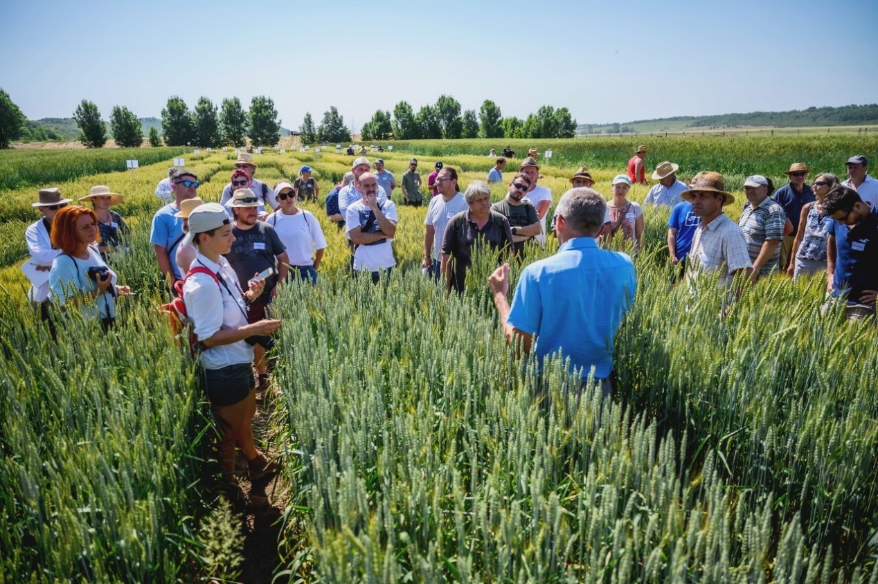 Apel pentru exprimarea interesului de a participa la vizitele încrucișate ale Rețelei europene PAC 2026