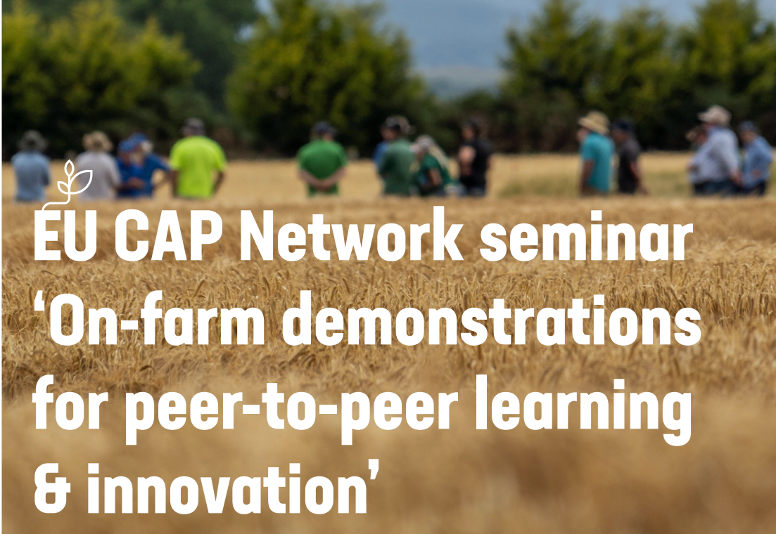 Raportul seminarului ‘Demonstrații la nivel de fermă pentru învățare de la egal la egal (peer-to-peer) și inovare
